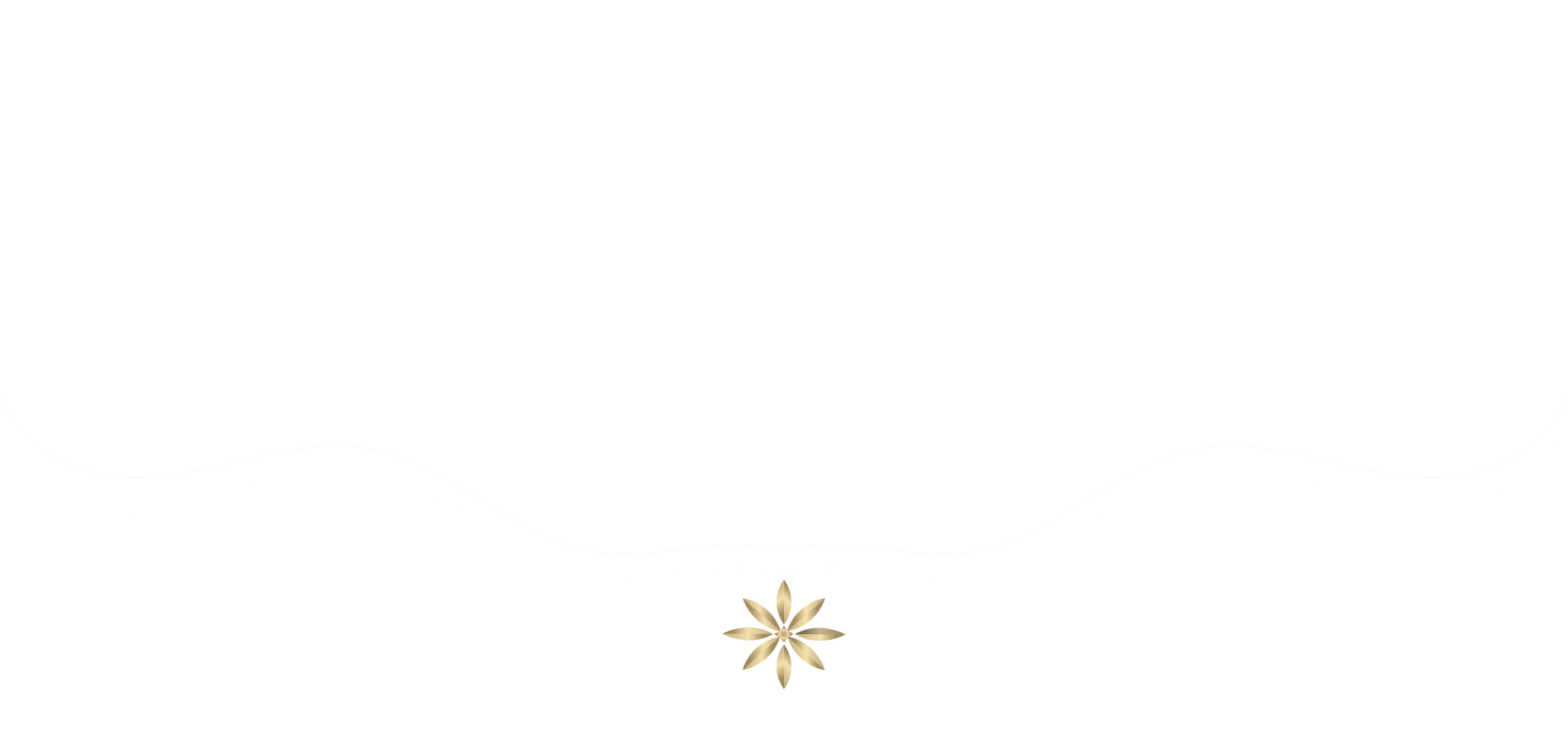 Sek Meas Rice Cambodia premium rice banner background